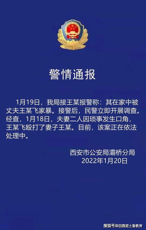 家暴妻子王鹏飞爆料视频  第1张